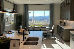 rodeoblinds-projects-dec-2021-drapes-11