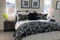 rodeoblinds-projects-july-2020-roman-shades-12