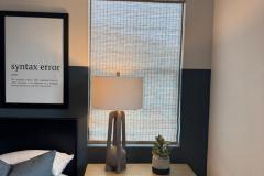 Window Shades Rodeo Blinds