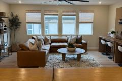Window Shades Rodeo Blinds
