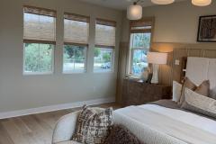 Window Shades Rodeo Blinds