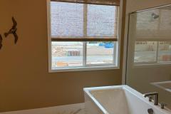 Window Shades Rodeo Blinds